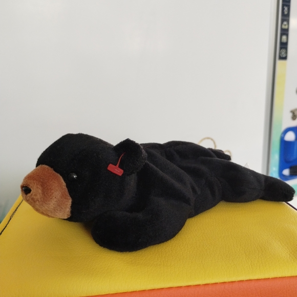 ✓TY Retired Beanie Baby BLACKIE The Black Bear No Hang Tag - Picture 5 of 11
